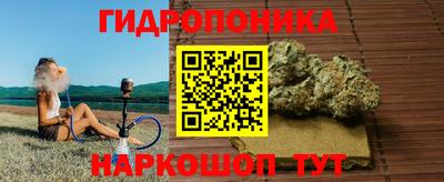 тгк Чебоксары