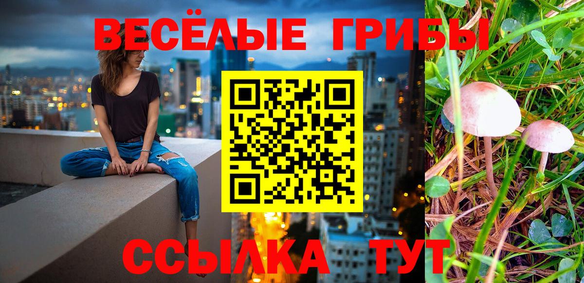 Галлюциногенные грибы мухоморы  Вход с VPN  Вичуга 